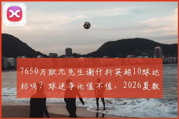 7650万欧元先生谢什科英超10球达标吗？球迷争论值不值，2026夏数据全解析